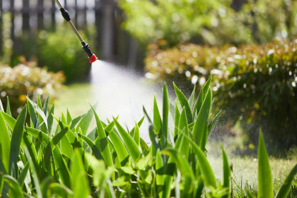 24/7 Emergency Mosquito Control experts in Washington, IA